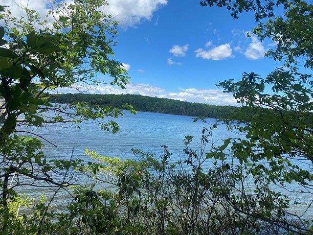 Land for sale in Virginia