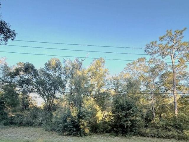 Land for sale in Interlachen, Florida