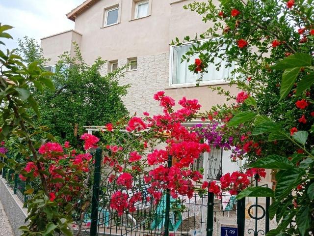 Kuşadasi, Aydin içerisinde kiralık Villa