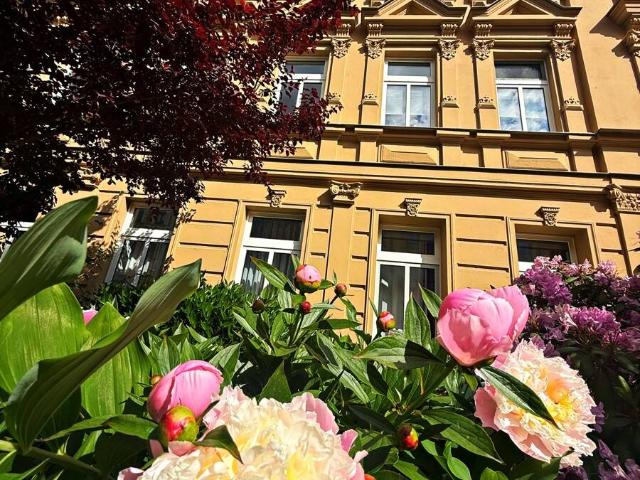 Etagenwohnung kaufen in Halle