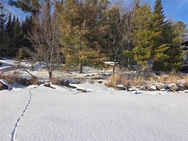 Land for sale in International Falls, Minnesota