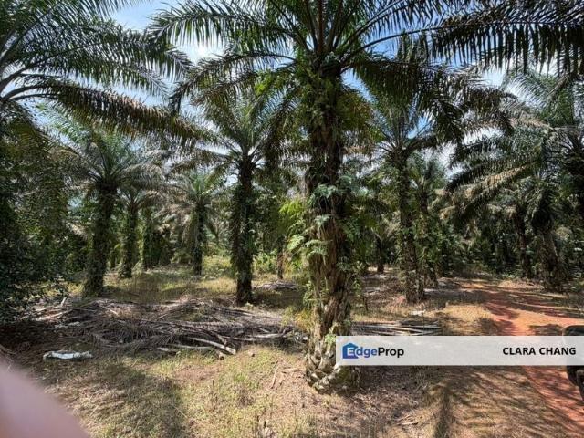 Shop for sale in Kulai, Johor