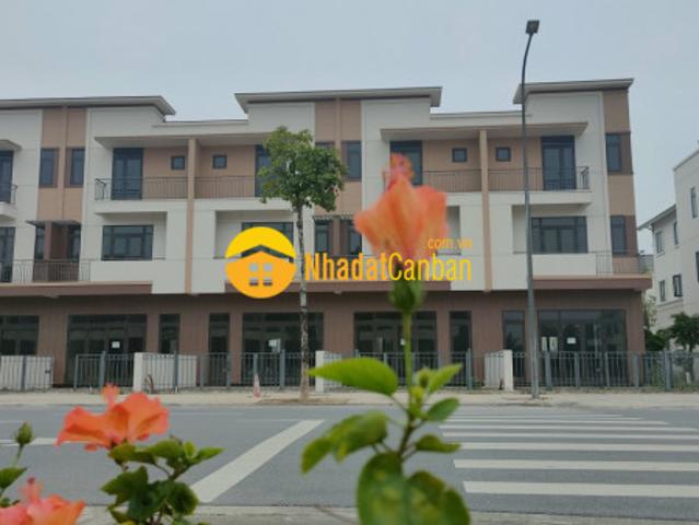 Biệt Thự bán