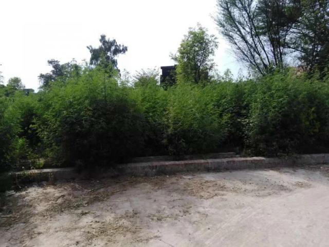 Land for sale in Gujrat, Islamabad Capital Territory