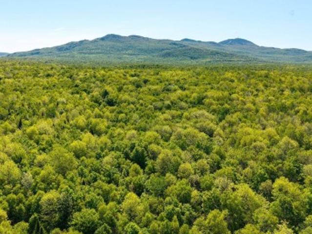 Land for sale in Memphrémagog, Quebec