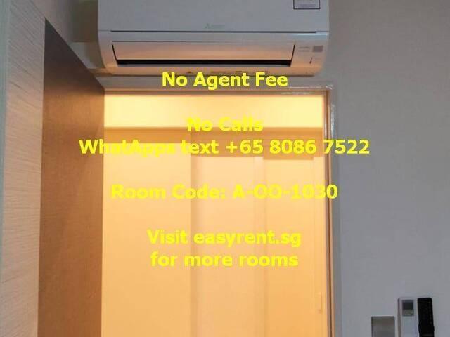 Room for rent