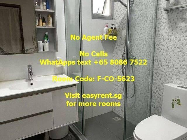 Room for rent