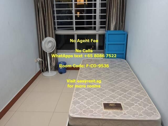 Room for rent