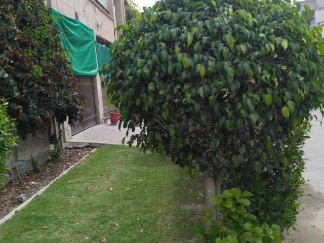 Property for rent in Rawalpindi, Islamabad Capital Territory
