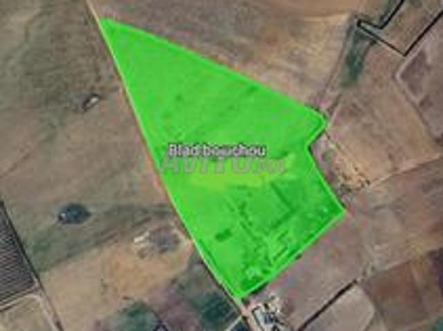 Propriété vente à Khémisset