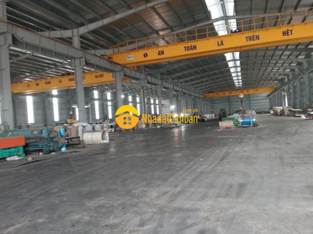 Kho xưởng cho thuê