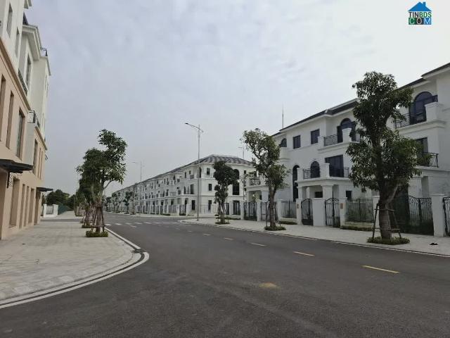 Biệt Thự bán