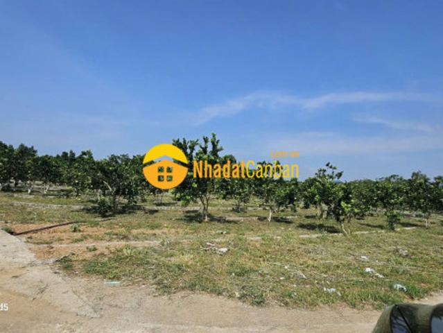 Mặt bằng bán