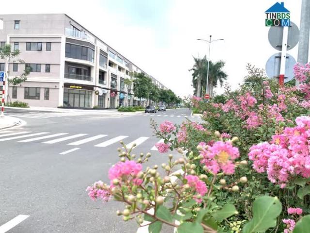 Biệt Thự bán tại Đồng Nai