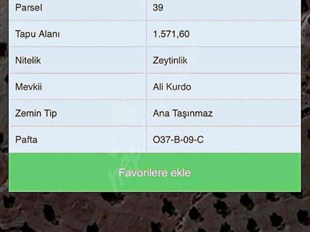 Musabeyli, Kilis içerisinde satılık mülk