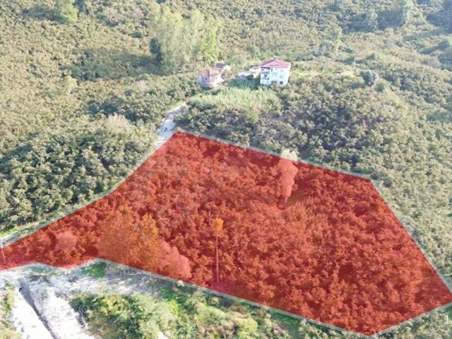 Ordu içerisinde satılık mülk