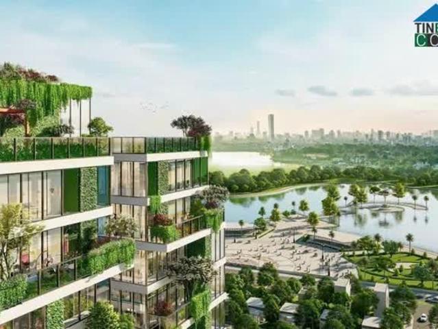 Căn hộ bán tại Thủ Đức, Hồ Chí Minh