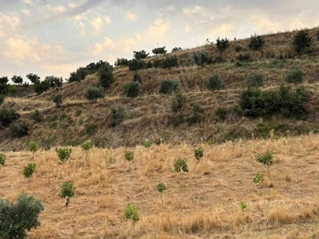 Kiraz, İzmir içerisinde satılık mülk