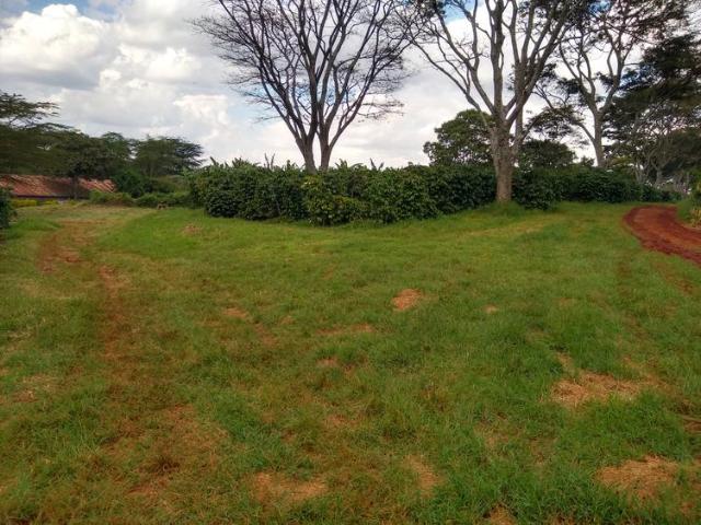 Land for sale in Mackinnon Road, Kinango