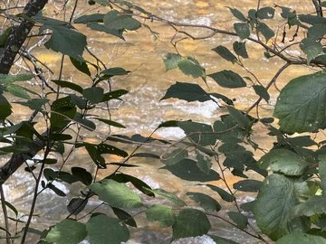 Land for sale in Virginia