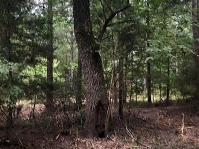 Land for sale in Groveton, Texas