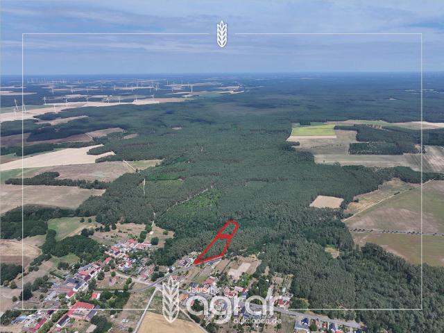 Erdgeschosswohnung kaufen in Niemegk, Brandenburg