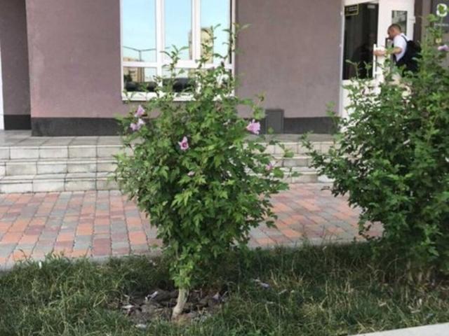 Квартира продажа в Романкове
