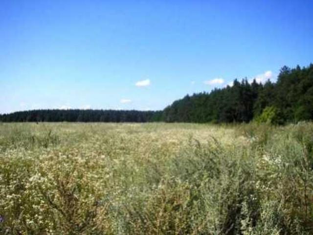Участок продажа в Макаровский, Вологодская область