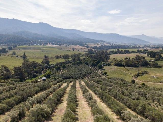 Acreage for sale in Victoria
