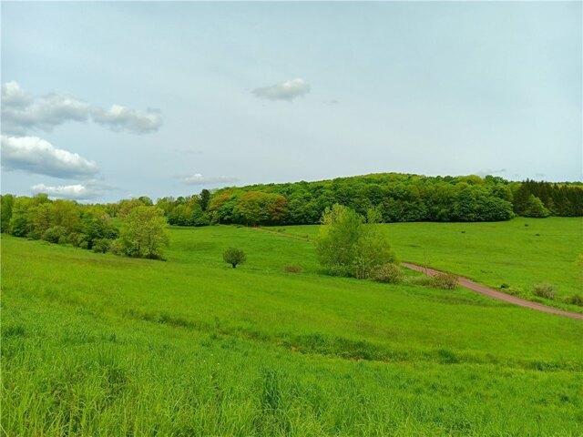 Land for sale in Bloomville