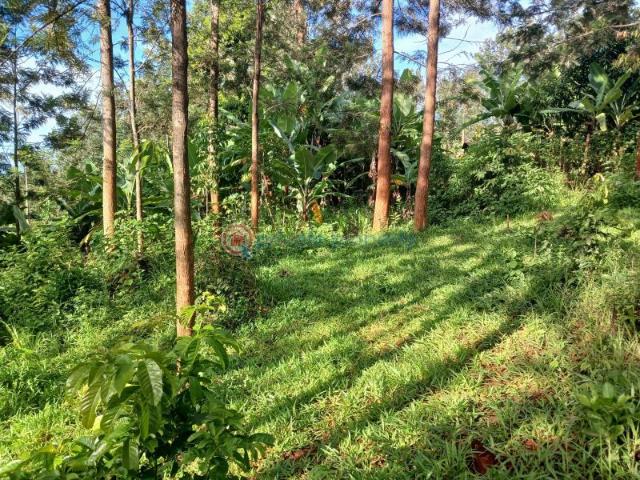 Land for rent in Maragwa, Makuyu