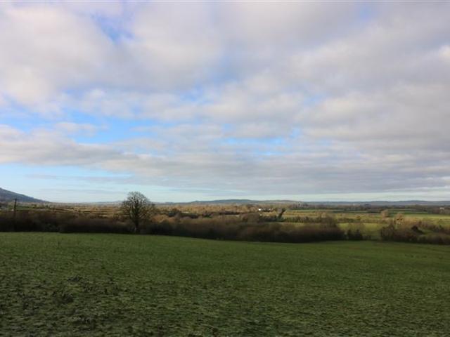 Cottage for sale in Callan