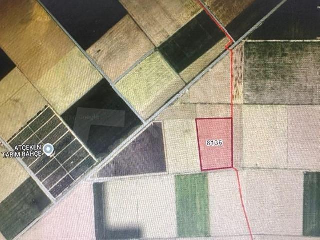 Hamidiye, Karaman Merkez içerisinde satılık Arsa