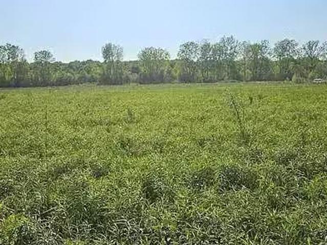 House for rent in Port Huron