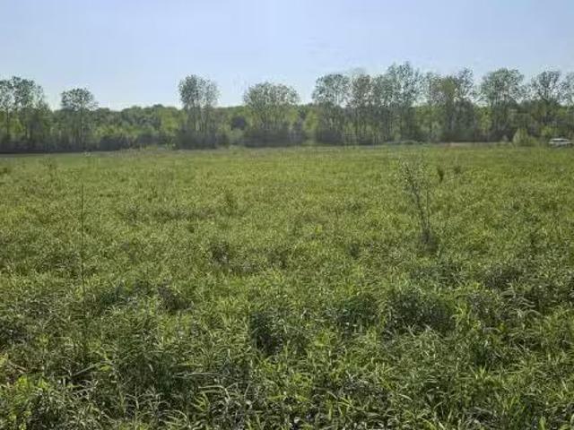House for rent in Port Huron