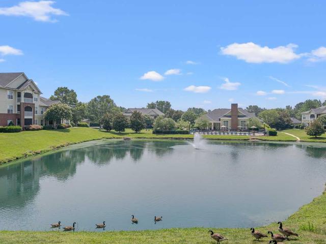 Apartment for rent in Wake, North Carolina