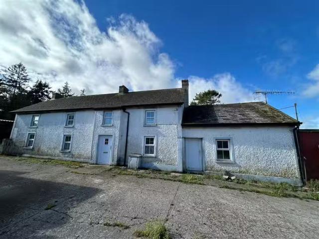 House to rent