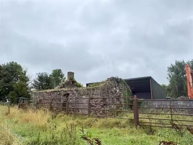 House to rent