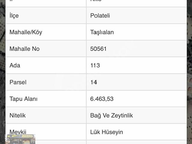 Taşlıalan, Polateli içerisinde satılık mülk