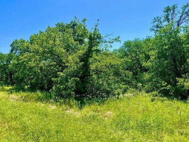 Land for sale in Parker, Texas