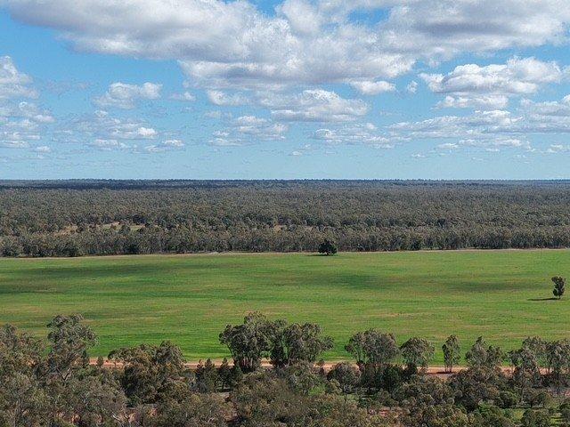 Cottage for sale in Coolabah, Bogan Shire Council