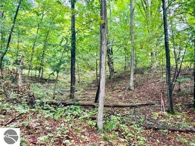 Land for sale in Benzonia, Michigan