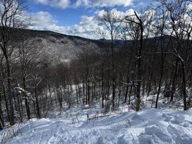 Land for sale in Killington, Vermont