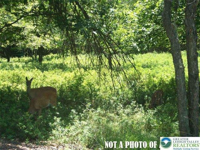 Land for sale in Carbon, Pennsylvania