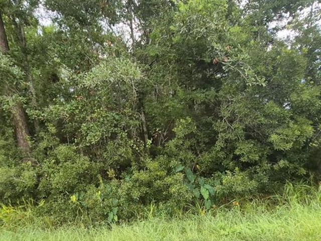 Land for sale in Bay Saint Louis, Mississippi