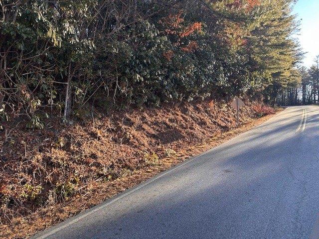 Land for sale in Transylvania, North Carolina