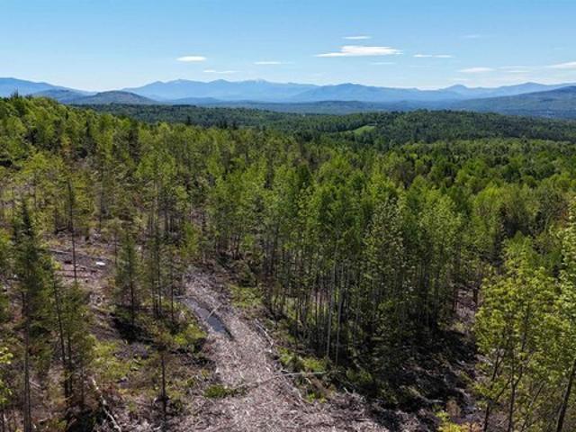 Land for sale in Gilman, Vermont