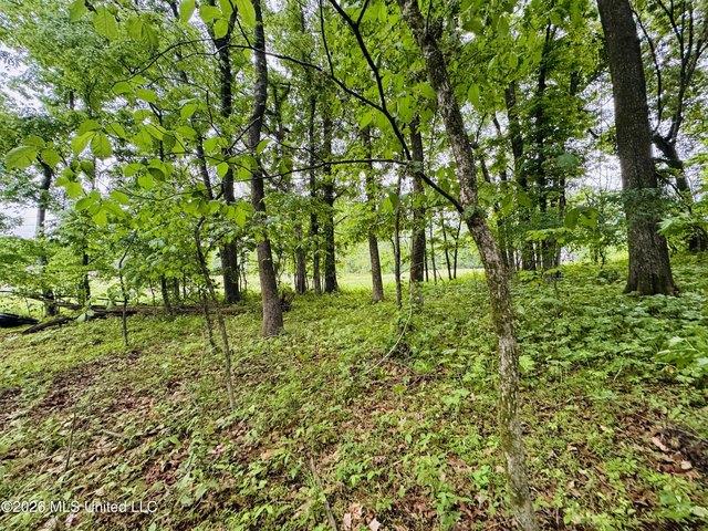 Land for sale in Hernando, Mississippi
