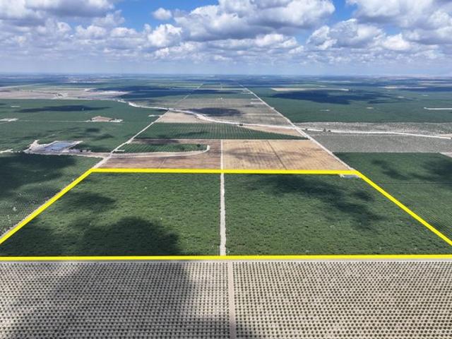 Farm for sale in Shafter, California