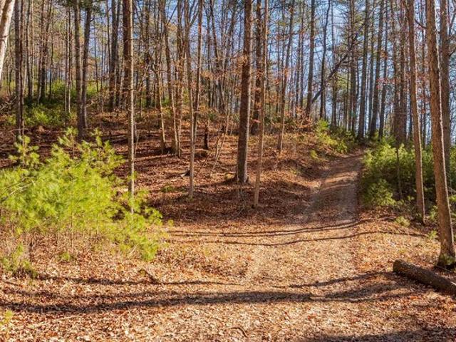 Land for sale in Virginia